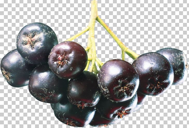 Juice Aronia Melanocarpa Mountain-ash Food Berry PNG, Clipart, Anthocyanin, Aronia Melanocarpa, Auglis, Berry, Bilberry Free PNG Download