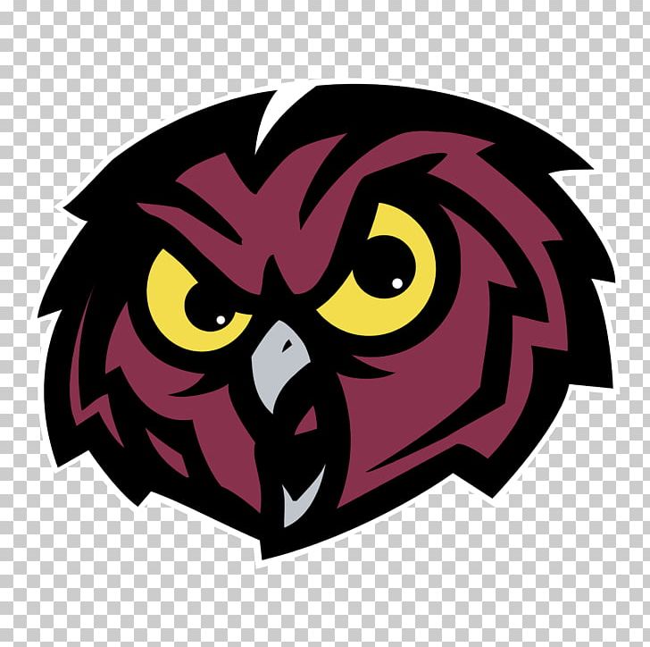Temple Owls Football Temple Owls Women's Basketball NCAA Division I Football Bowl Subdivision Temple University PNG, Clipart,  Free PNG Download