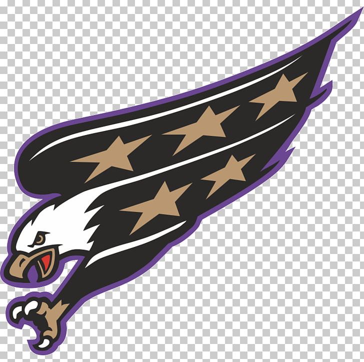 Washington Capitals Stanley Cup Finals 1995–96 NHL Season Stanley Cup Playoffs Hockey Club PNG, Clipart, Alexander Ovechkin, Capital, Hockey Club, Ice Hockey, Jersey Free PNG Download