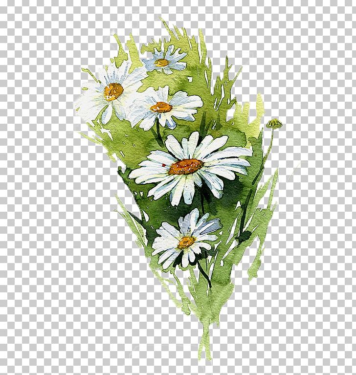 Watercolor Painting Common Daisy Illustration PNG, Clipart, Artificial Flower, Daisy Family, Dark, Flower, Flower Arranging Free PNG Download
