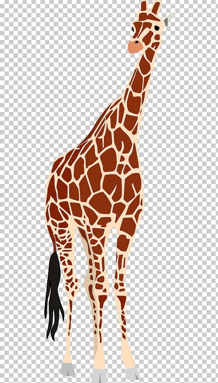 Giraffe PNG, Clipart, Animal, Animals, Cartoon Giraffe, Cute Giraffe, Download Free PNG Download