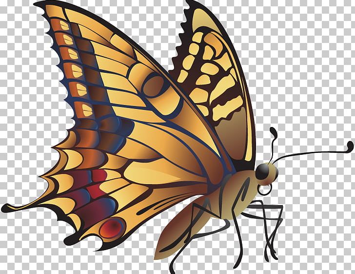 Monarch Butterfly Insect Cartoon PNG, Clipart, Arthropod, Ball, Brush Footed Butterfly, Cartoon, Cartoon Character Free PNG Download