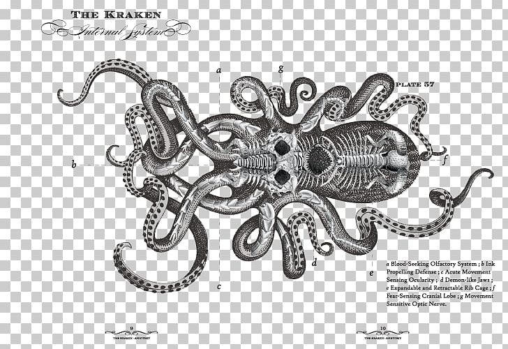 Kraken Rum Le Chant Du Kraken Octopus PNG, Clipart, Art, Black And White, Chant, Drawing, Illustrator Free PNG Download
