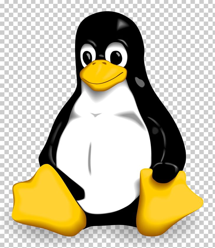 Linux Kernel Tux Installation PNG, Clipart, Beak, Bird, Computer, Flightless Bird, Free Software Free PNG Download