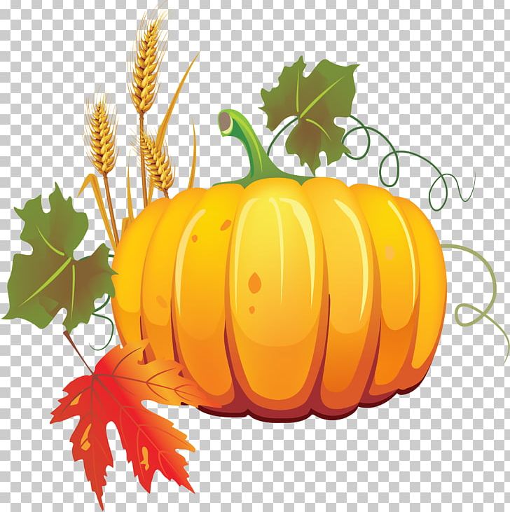 Pumpkin Autumn Vegetable Vegetarian Cuisine PNG, Clipart, Auglis, Autumn, Calabaza, Cucurbita, Cucurbita Pepo Free PNG Download