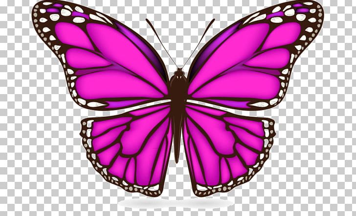 Butterfly Graphics Illustration PNG, Clipart, Arthropod, Brush Footed Butterfly, Butterfly, Drawing, Encapsulated Postscript Free PNG Download