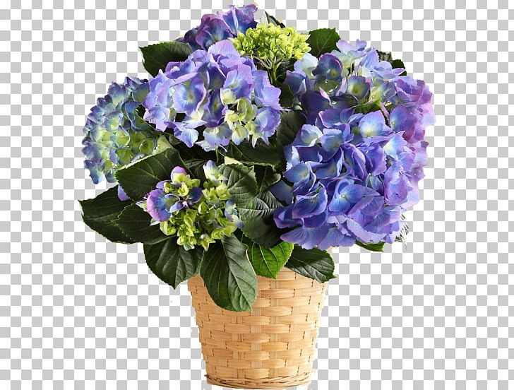 French Hydrangea Carithers Flowers Easter Lily Plant PNG, Clipart, Annual Plant, Artificial Flower, Blue, Carithers Flowers, Cornales Free PNG Download