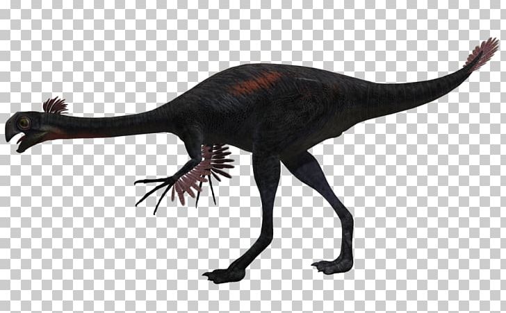 Gigantoraptor Velociraptor Kentrosaurus Dinosaur Animal PNG, Clipart, Animal, Art, Bird, Com, Deviantart Free PNG Download