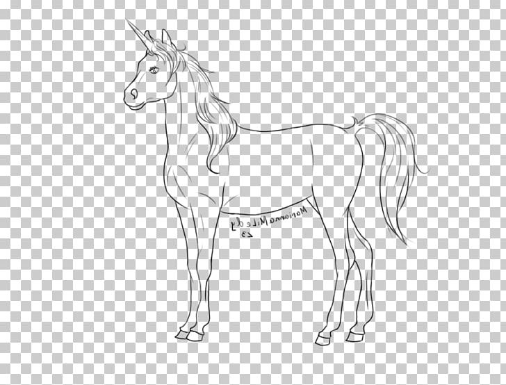 Mule Foal Stallion Colt Halter PNG, Clipart, Animal Figure, Artwork, Black And White, Bridle, Colt Free PNG Download