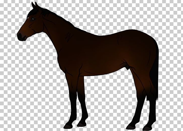 Mustang Stallion Mare Foal Colt PNG, Clipart, Akhalteke, Animal Figure, Appaloosa, Bit, Bridle Free PNG Download