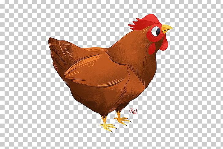 Rooster Chicken Cartoon Illustration PNG, Clipart, Adobe Illustrator,  Animal, Animals, Badminton Shuttle Cock, Beak Free PNG