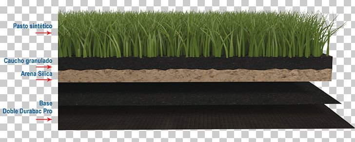 Artificial Turf Pasto PNG, Clipart, Artificial Turf, Athletics Field, Football, Football Boot, Football Pitch Free PNG Download
