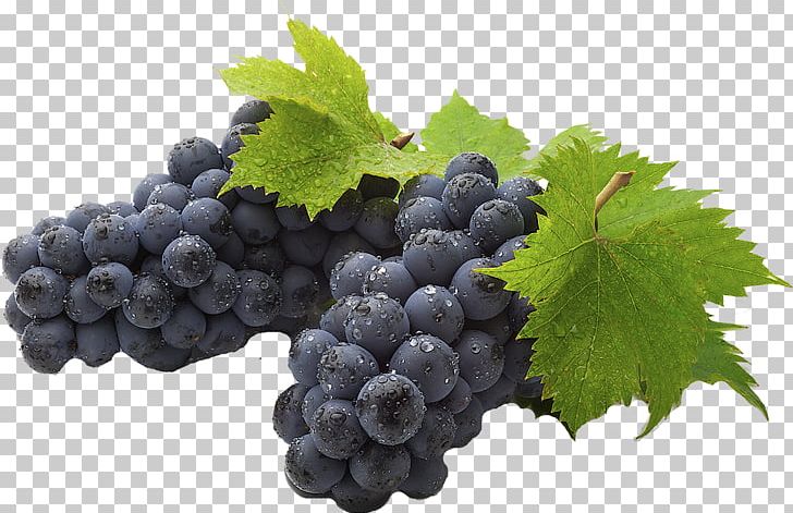 Common Grape Vine Juice Desktop Fruit PNG, Clipart, Berry, Bilberry, Blueberry, Desktop Wallpaper, Food Free PNG Download