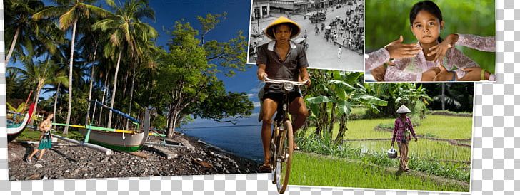 Komodo Flores Lombok Bali Sumbawa PNG, Clipart, Bali, Bicycle, Cycling, Cyclocross, Endurance Sports Free PNG Download