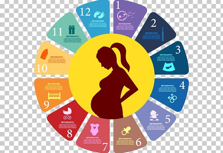 Pregnancy Childbirth PNG, Clipart, Axe, Brand, Clip Art, Communication, Infographic Timeline Free PNG Download