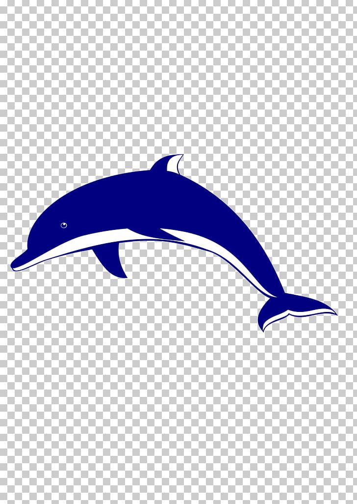 Bottlenose Dolphin Spinner Dolphin PNG, Clipart, Angle, Animals, Autocad Dxf, Blue, Bottlenose Dolphin Free PNG Download