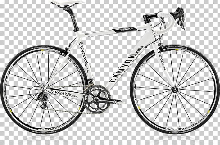 Giant's Giant Bicycles Cycling Trek Bicycle Corporation PNG, Clipart,  Free PNG Download