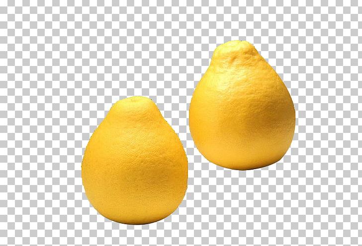 Lemon Grapefruit Citron Tangelo Citrus Junos PNG, Clipart, Bluegreen, Citric Acid, Citrus, Delicious, Encapsulated Postscript Free PNG Download