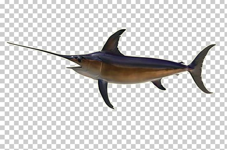 Swordfish Recreational Fishing Fishery PNG, Clipart, Billfish, Bony Fish, Fauna, Fin, Fish Free PNG Download