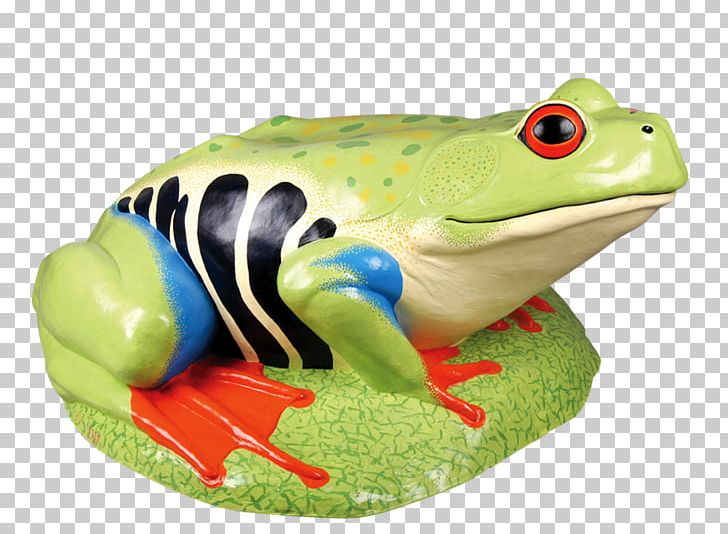 American Bullfrog Toad True Frog PNG, Clipart, American Bullfrog, Amphibian, Bullfrog, Download, Frog Free PNG Download