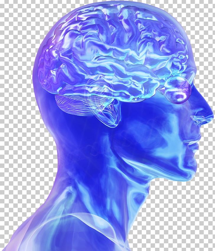 Blue Brain Project Human Brain Neuroscience Electrical Brain Stimulation PNG, Clipart, Blue Brain Project, Brain, Brain Tumor, Cobalt Blue, Dejavu Free PNG Download