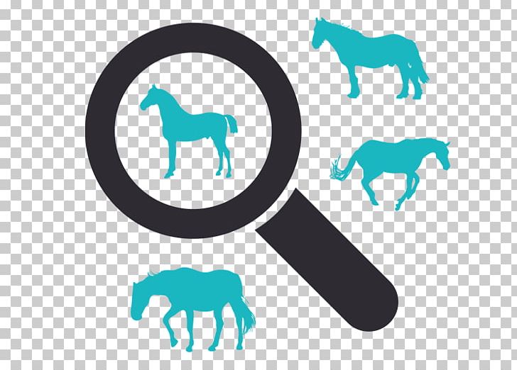 Horse Pony Equine Prepurchase Exam Test Swiftsure Yacht Race PNG, Clipart, Animal, Animals, Area, British Columbia, Com Free PNG Download