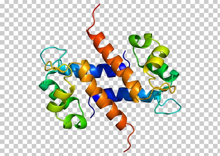 S100A8 Calcium-binding Protein S100A9 S100 Protein PNG, Clipart, Animal Figure, Area, Artwork, Binding Protein, Calcium Free PNG Download