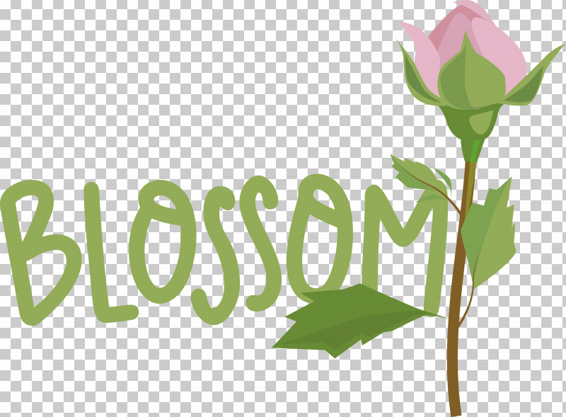 Leaf Plant Stem Logo Font Flower PNG, Clipart, Biology, Flower, Leaf, Logo, Meter Free PNG Download