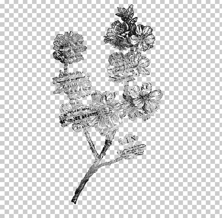 Flower Paper Stock.xchng Drawing PNG, Clipart, Black And White, Blume, Body Jewelry, Branch, Digitization Free PNG Download
