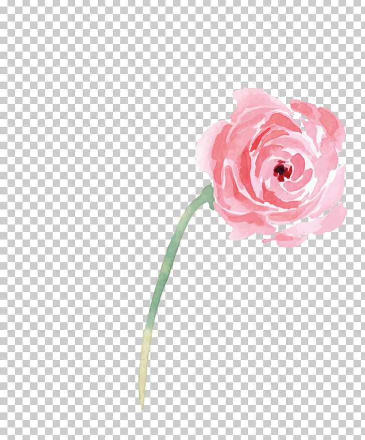 Garden Roses Beach Rose Illustration PNG, Clipart, Art, Cut Flowers, Flower, Flowering Plant, Flowers Free PNG Download