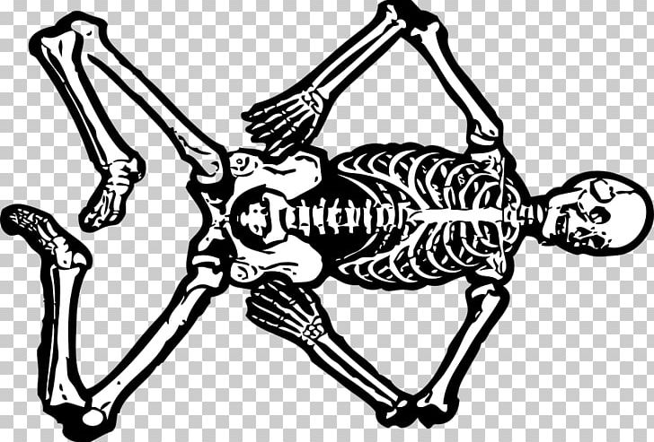 Human Skeleton Skull PNG, Clipart, Art, Artwork, Bit, Black And White, Bone Free PNG Download