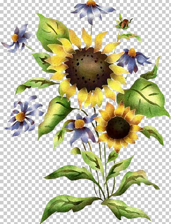 Stencil Common Sunflower PNG, Clipart, Art, Color Scheme, Common Sunflower, Daisy Family, Floral Design Free PNG Download