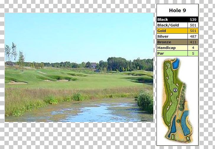 Water Resources Golf Clubs Recreation Land Lot PNG, Clipart, Golf, Golf Club, Golf Clubs, Golf Course, Golf Equipment Free PNG Download
