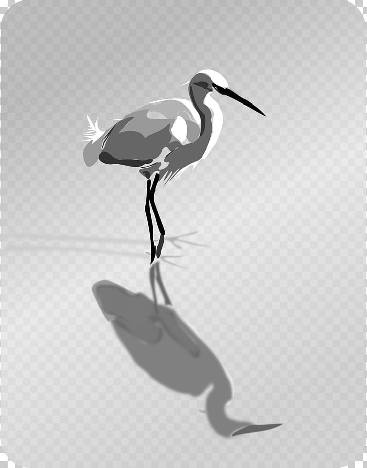 Bird Heron PNG, Clipart, African Spoonbill, Animals, Beak, Bird, Black And White Free PNG Download