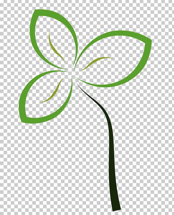 Sprouting Seed Brussels Sprout PNG, Clipart, Acorn, Area, Artwork, Bean, Brussels Sprout Free PNG Download