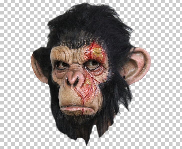 Chimpanzee Ape Latex Mask Halloween Costume PNG, Clipart, Ape, Art, Ball, Carnival, Chimp Free PNG Download