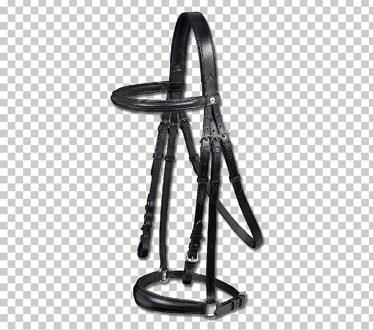 Horse Bit Bridle Equestrian Leather PNG, Clipart, Animals, Bit, Bridle, Cabezada, Equestrian Free PNG Download