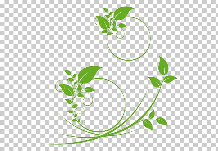 Leaf Plant Stem PNG, Clipart, Art, Branch, Computer Icons, Computer Wallpaper, Download Free PNG Download