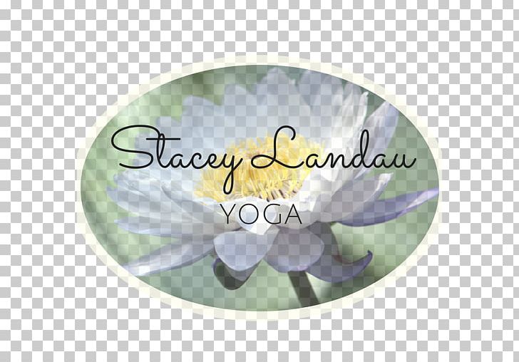 Stacey Landau Yoga Therapy Radlett St Albans PNG, Clipart, City Of St Albans, Dishware, Emotion, Flower, Healing Free PNG Download