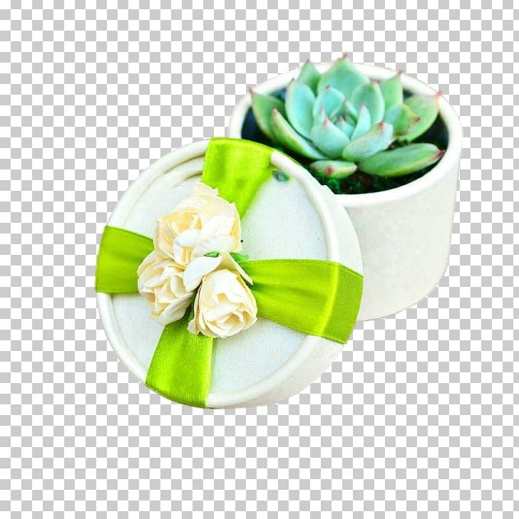 Wedding Succulent Plant Flower Marriage PNG, Clipart, Cars, Cut Flowers, Double Happiness, Fleshy, Fleshy Girls Free PNG Download