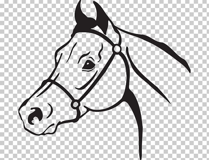 American Quarter Horse Open Arabian Horse Mustang PNG, Clipart, Arabian Horse, Artwork, Black And White, Fictional Character, Head Free PNG Download