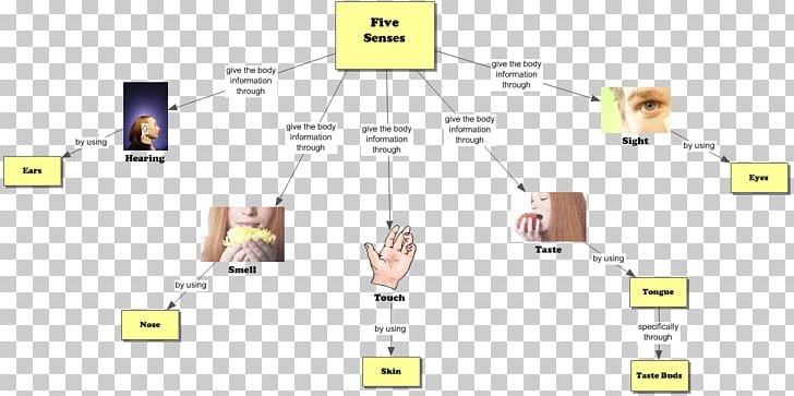 The Five Senses Graphic Organizer Concept Map Hearing PNG, Clipart, 5 Senses, Angle, Area, Chart, Communication Free PNG Download