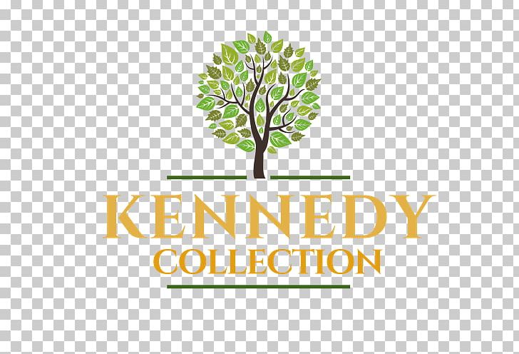 Tree Oak PNG, Clipart, Branch, Brand, Bridgewater Canal, Drawing, Forest Free PNG Download