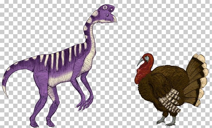 Velociraptor Fauna Extinction Feather Animal PNG, Clipart, Animal, Animal Figure, Animals, Beak, Dinosaur Free PNG Download