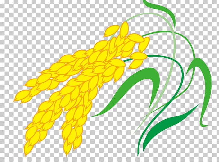 Euclidean PNG, Clipart, Adobe Illustrator, Cartoon Wheat, Commodity, Computer Icons, Download Free PNG Download