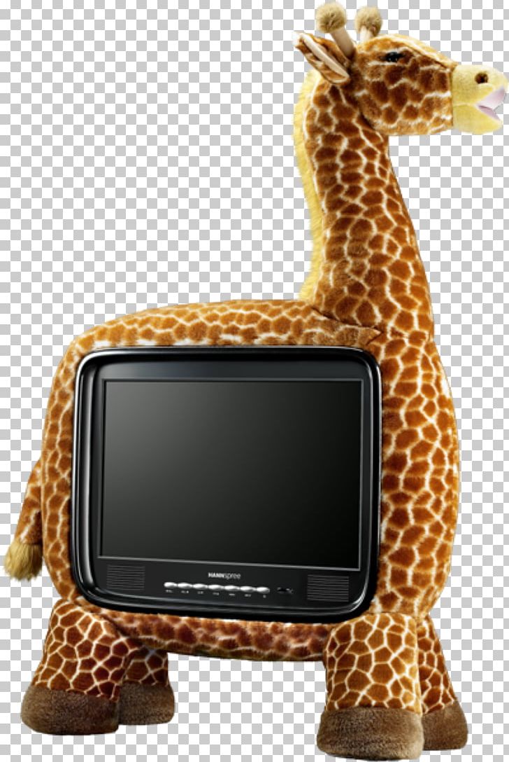 LCD Television Child Giraffe Room PNG, Clipart, Bedroom, Child, Computer Monitors, Dormitory, Furniture Free PNG Download