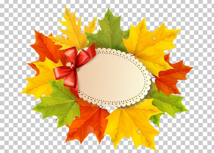 Maple Leaf PNG, Clipart, Bow, Canadian Maple Leaf, Card, Cdr, Encapsulated Postscript Free PNG Download