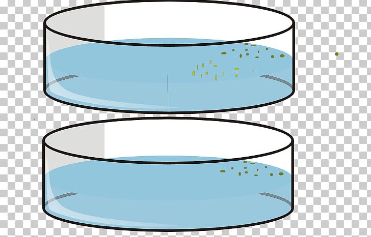 Petri Dishes Drawing Cylinder PNG, Clipart, Angle, Area, Cartoon, Com,  Cylinder Free PNG Download