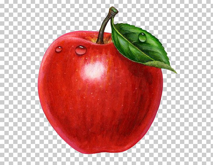 Apple Juice Crisp Malus Ioensis Leaf PNG, Clipart, Apple, Apple Fruit, Apple Logo, Apples, Apple Tree Free PNG Download
