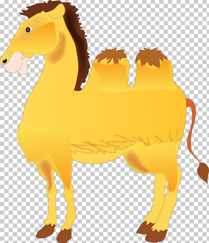 Camel Drawing PNG, Clipart, Animal, Animals, Camel Vector, Carnivoran, Encapsulated Postscript Free PNG Download